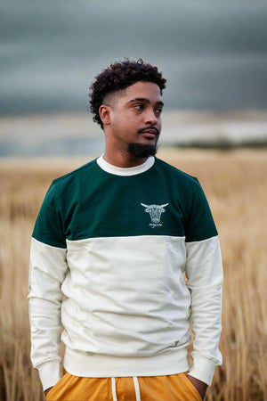 Men's Cotton Crew Neck Sweater